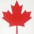 Großaufnahme des Deckenhänger Kanada Flagge 28 cm aus Karton.