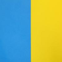 Großaufnahme einer Flagge der Fahnenkette Ukraine.