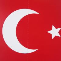 Großaufnahme des Türkei Flagge Dekohänger mit 28 cm Durchmesser aus Karton.