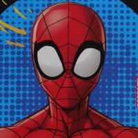 Detailansicht eines Spiderman Motives aus dem Kindergeburtstag Dekoset XXL mit Spiderman Dekoration & Partygeschirr.